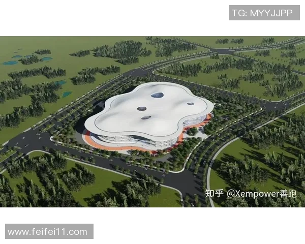 南京极限运动队现状分析与发展前景探讨