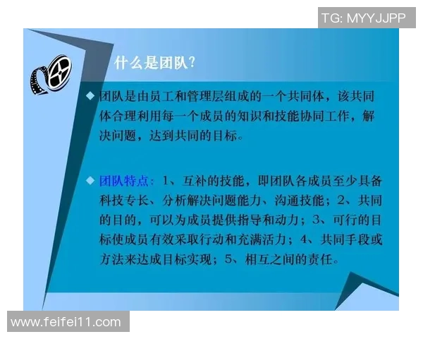 武汉篮球队的团队协作之道：如何打造默契与信任的冠军团队