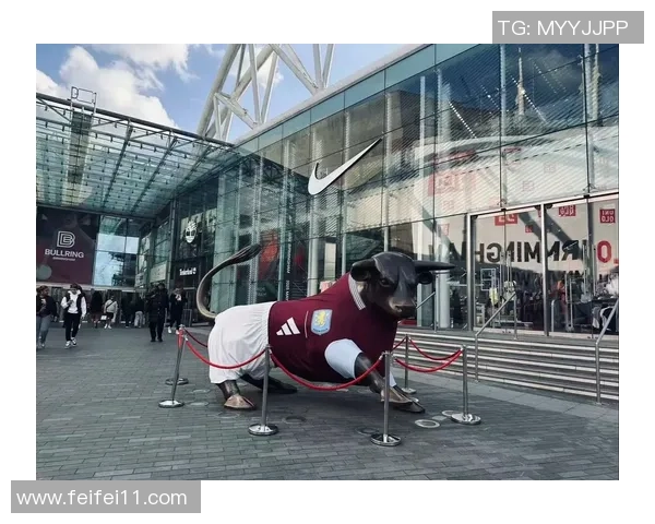 013维拉与伯明翰激战正酣谁能在这场对决中笑到最后